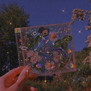 Meet your Posher, Mayeli